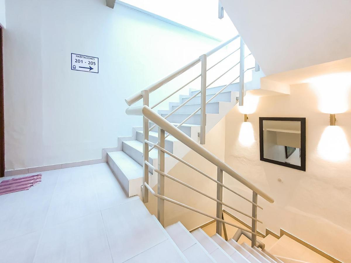 Niebla Suites Xalapa Extérieur photo